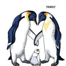 Pinguin Familie