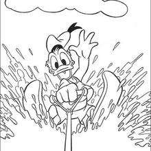Donald Duck fährt Wasserski