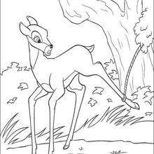 Bambi 19
