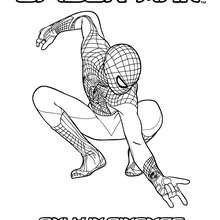 The Amazing Spiderman zum Ausmalen