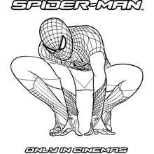 The Amazing Spiderman zum online Ausmalen
