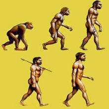 MENSCHLICHE EVOLUTION Puzzle