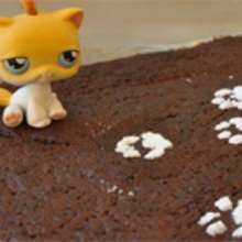 Kätzchen-Schokoladenkuchen