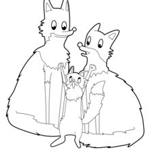 Famille de renards