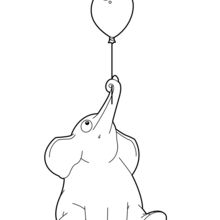 Elefant mit einem Ballon