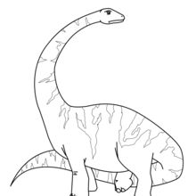 Diplodocus zum Ausdrucken