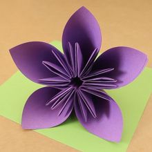 Die Origami Blume
