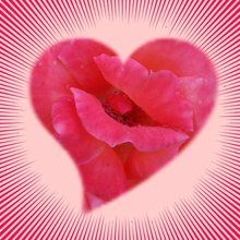 Valentinstag rotes Herz Poster