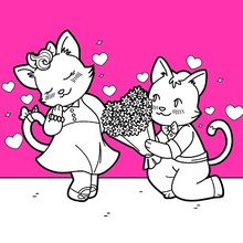 Katzen in der Liebe