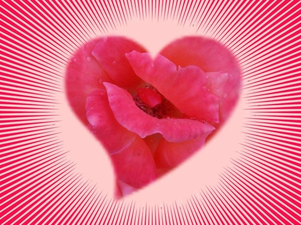 Valentinstag rotes Herz Poster